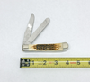 2001 Case XX 6254 Dale Earnhardt Amber Bone Trapper Pocket Knife - Hers and His Treasures