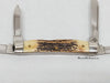 2006 Case XX 54052 India Stag Medium Congress Pocket Knife