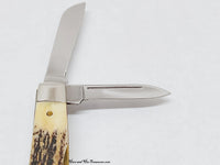 2006 Case XX 54052 India Stag Medium Congress Pocket Knife