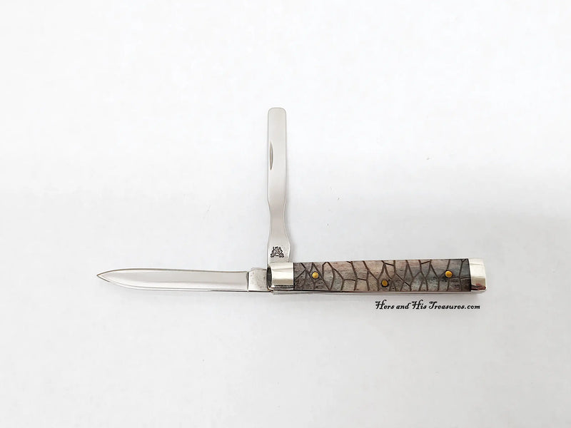 2006 Case XX 6282 Black Bone Baby Doctors Pocket Knife